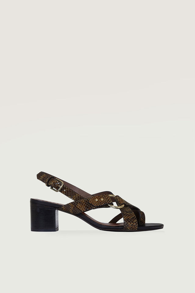 SANDALES FLORENTINE PYTHON